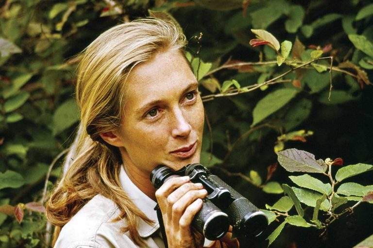 jane
