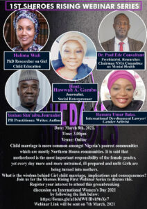 Read more about the article Sheroes Rising Webinar Series: Sending a Boy to do a Man’s Job.