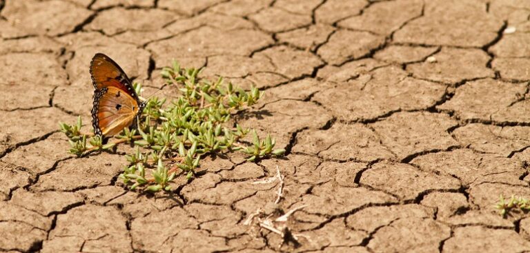 climate-image