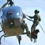 Made to fly: Tolulope Arotile: 13 December 1996-14 July 2020