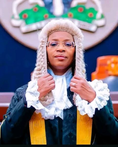 Nigerian Bar Association Elects 2nd Female National President