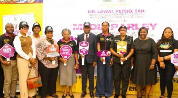 33,009 Reports in Five Years as Lagos Grapples with Domestic and Sexual Violence